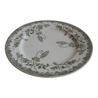 St Amand and Hamage flower plate