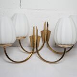 Pair of 1960 opaline and brass wall lights from Italy