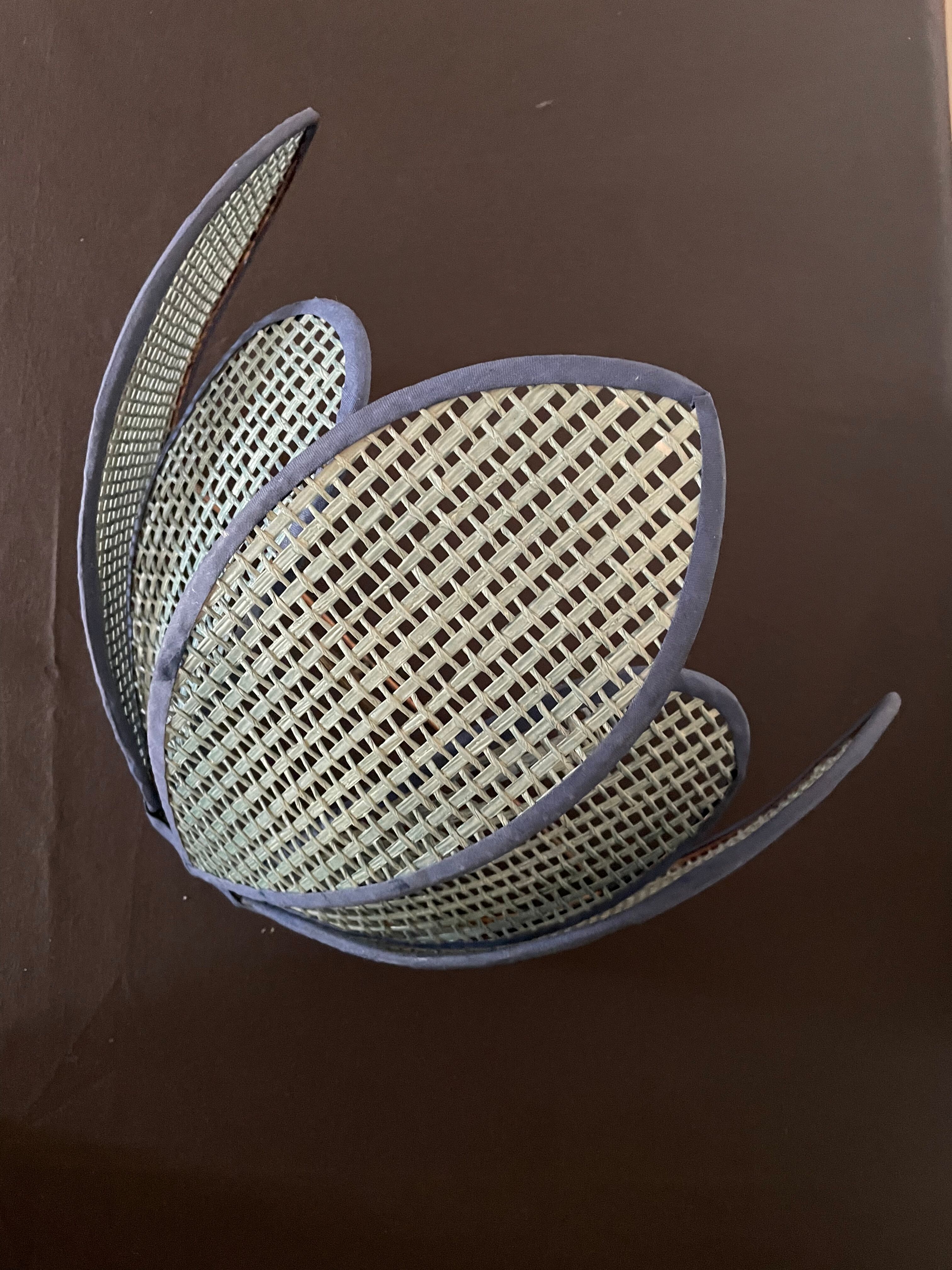 Lotus flower canning wall lamp