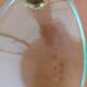 Italian Desk lamp  1950 brass and glass