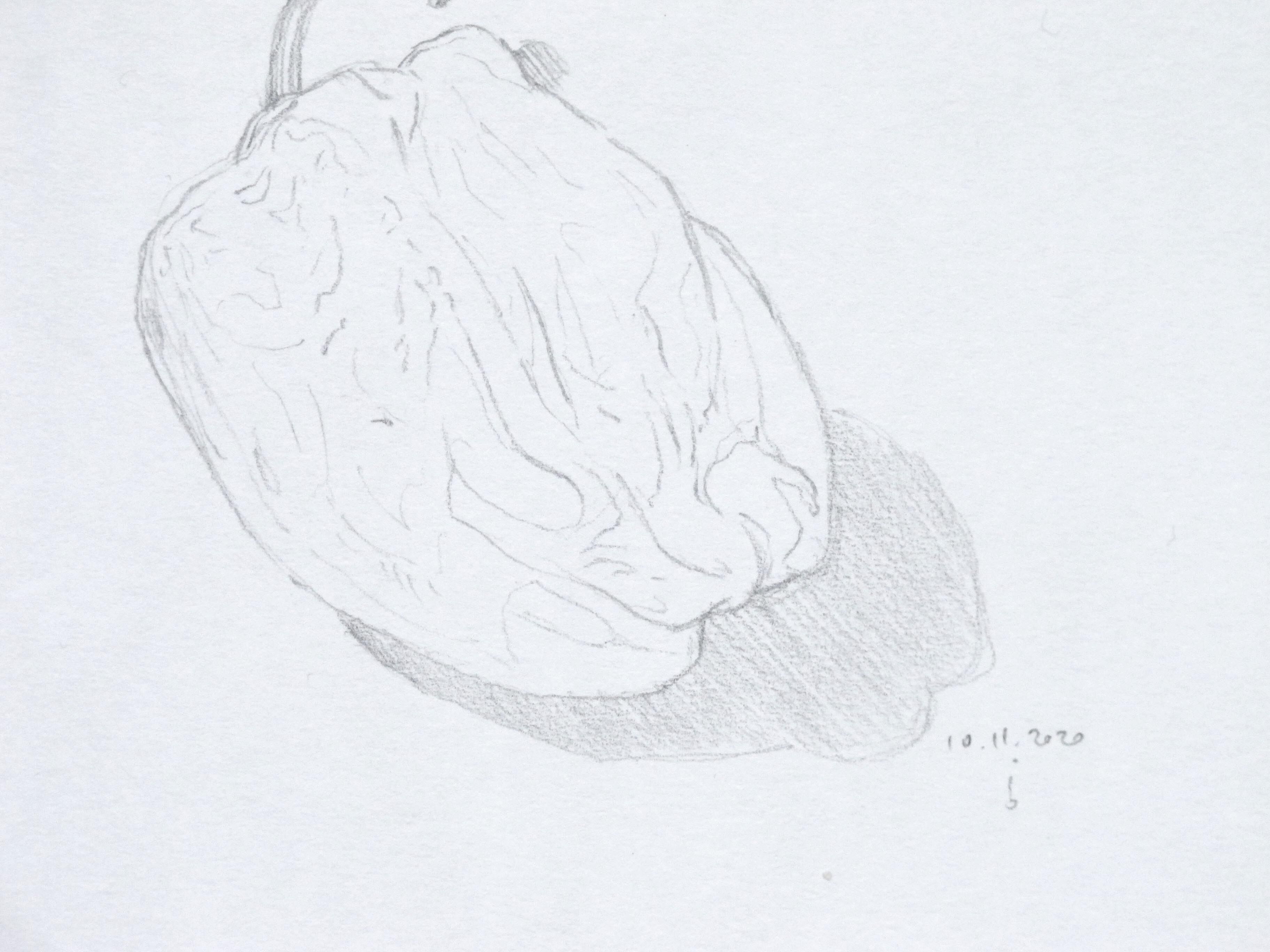 Pepper - original drawing