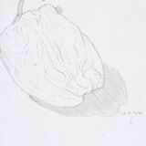 Pepper - original drawing