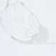 Pepper - original drawing