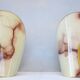 Mid Century Wall Sconces Shades Alabaster Glass Shades