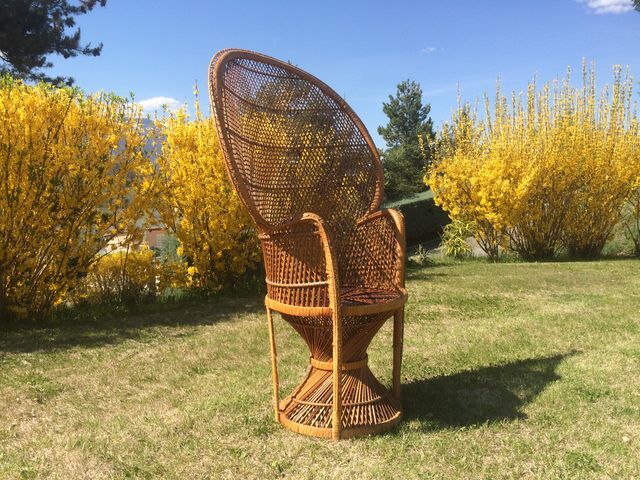 Emmanuelle wicker and rattan chair for adults 1970s