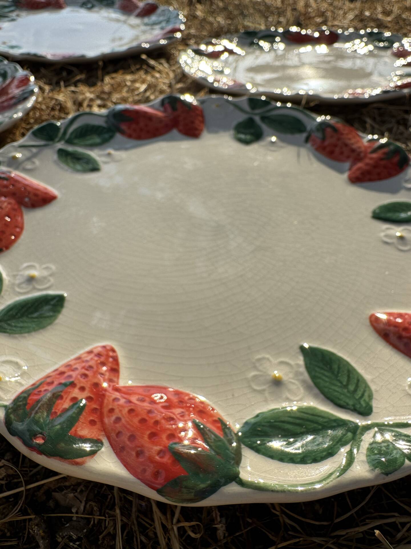 Longchamp antique strawberry barbotine plates