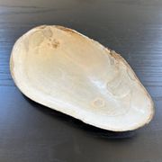 Vide poche coquillage en nacre
