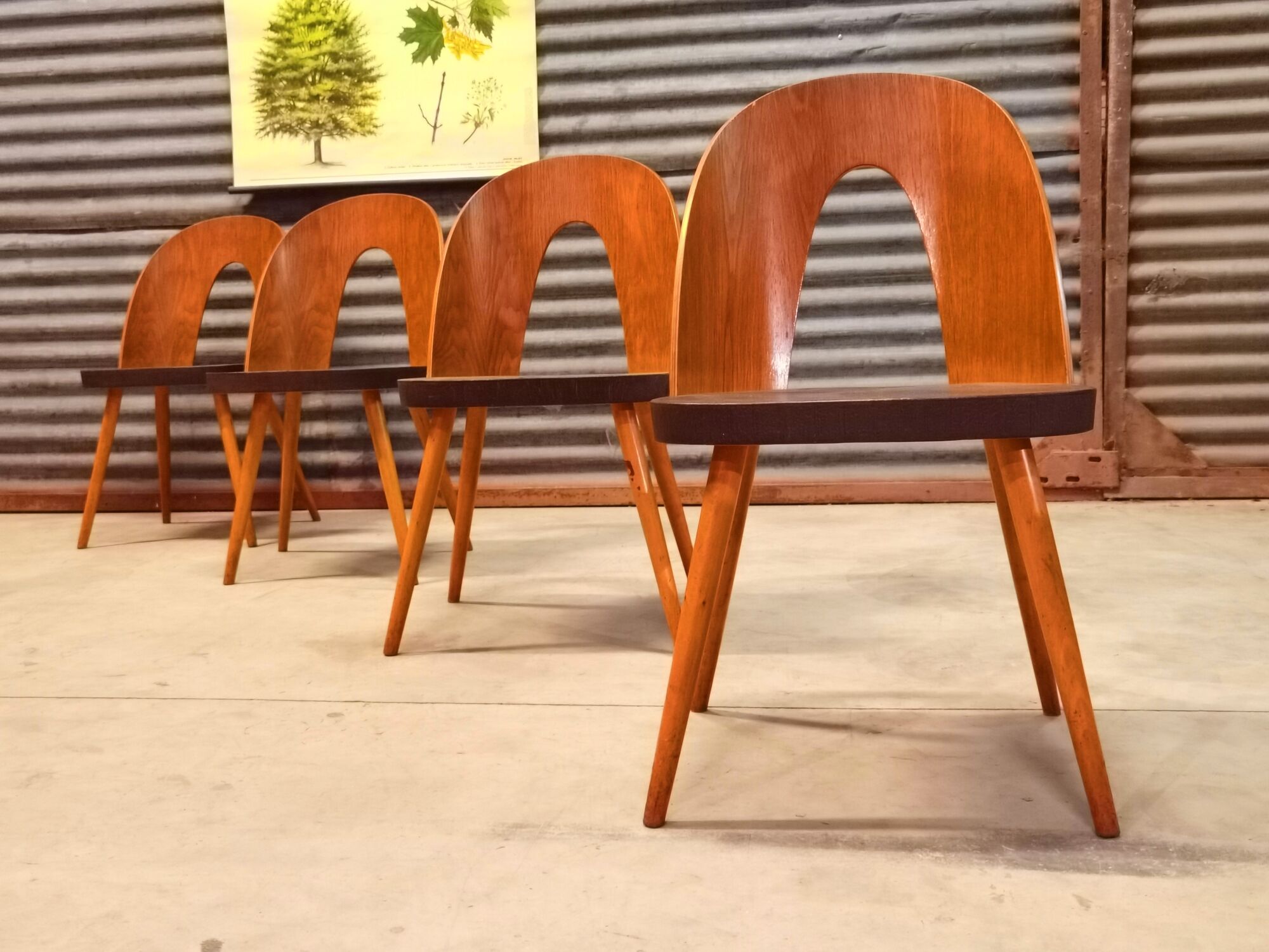 Set of 4 Antonin Suman chairs for Tatra Nabytok 1960