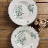 Set of 6 old hollow plates