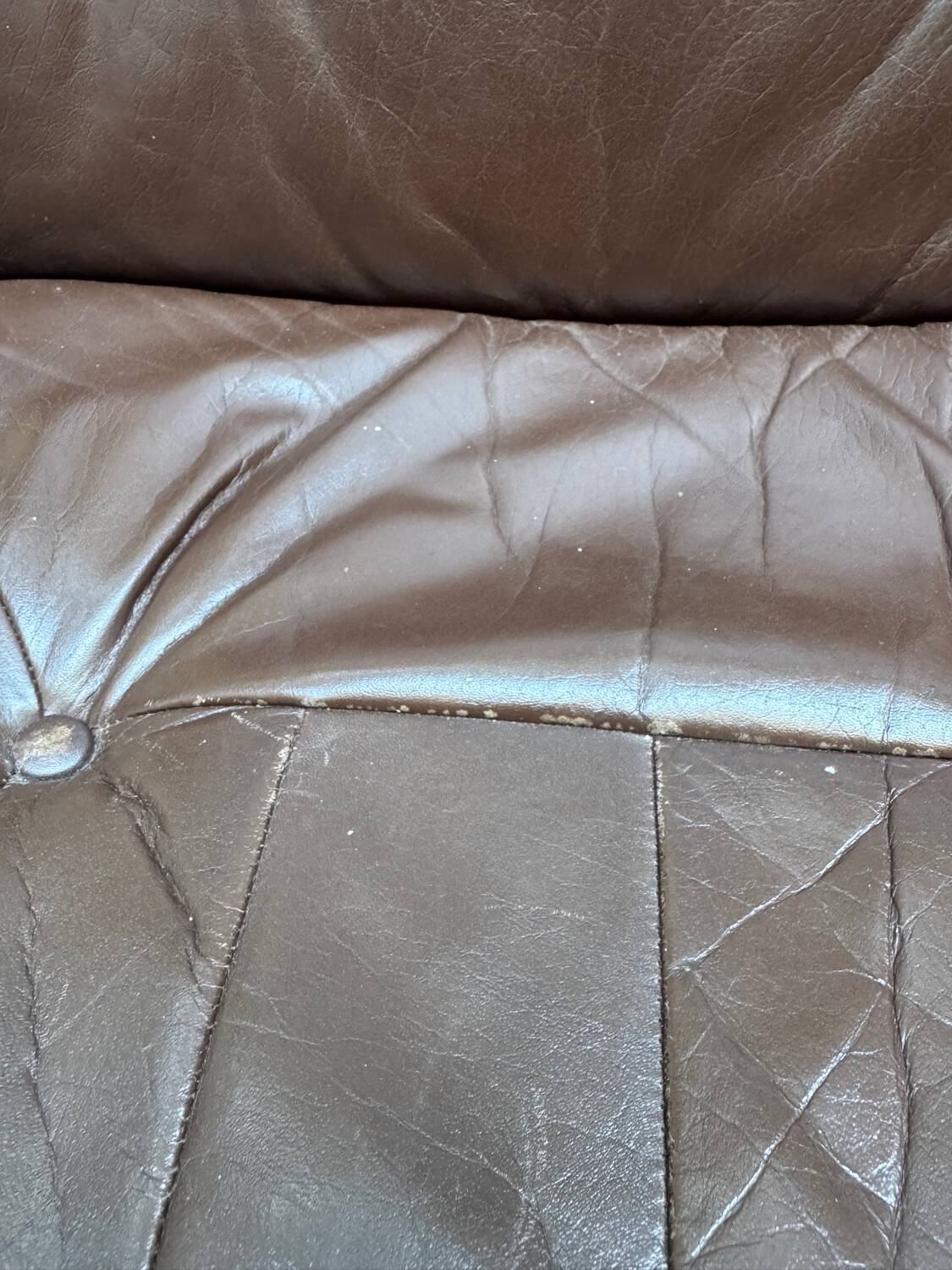 Chaise vintage Torbjørn Afdal "Hunter" pour Bruksbo, 1960