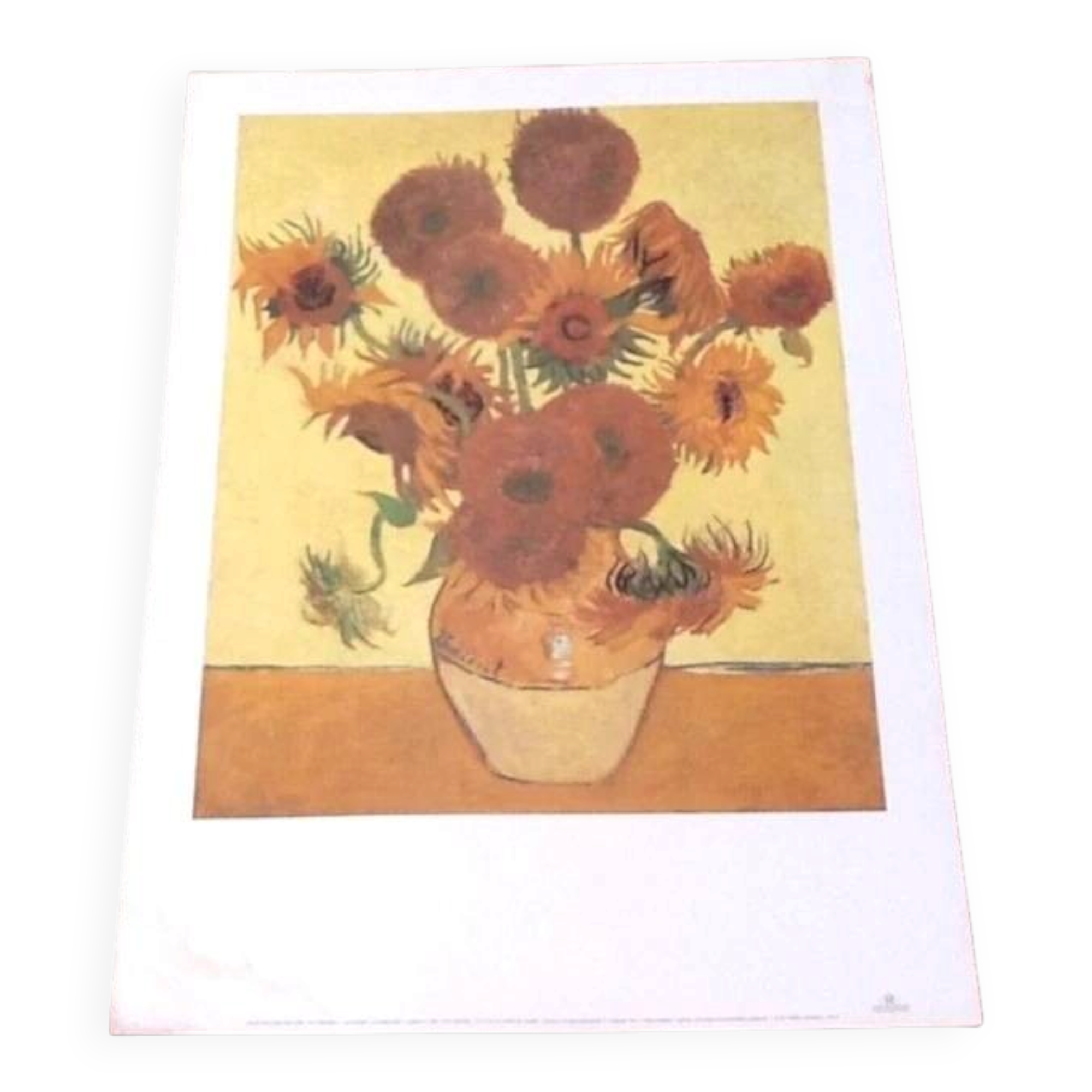 Display The Sunflowers