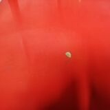 Office module with 50s shelves