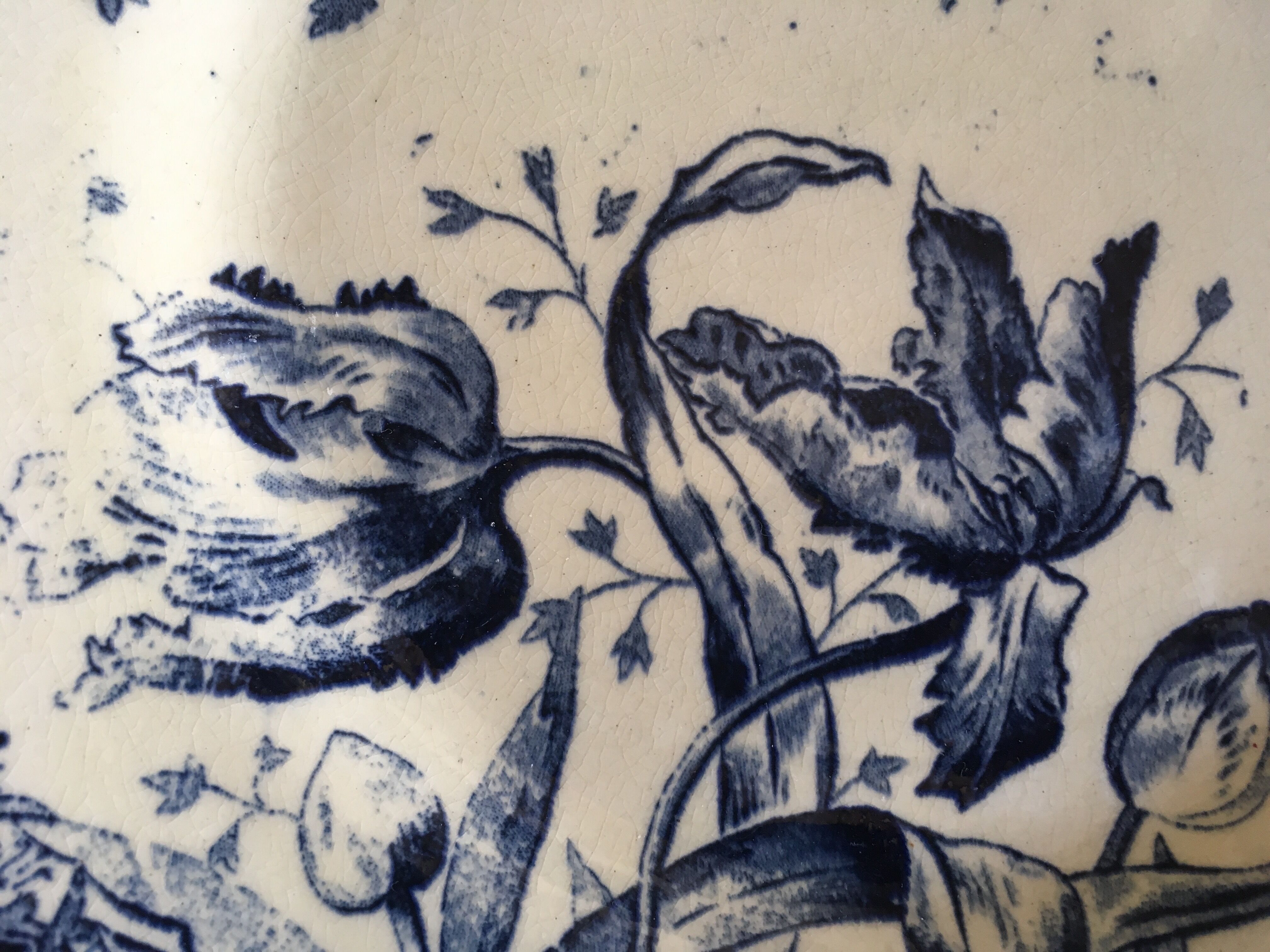 Set of 6 flat Tulips earthenware plates of Gien of the nineteenth century