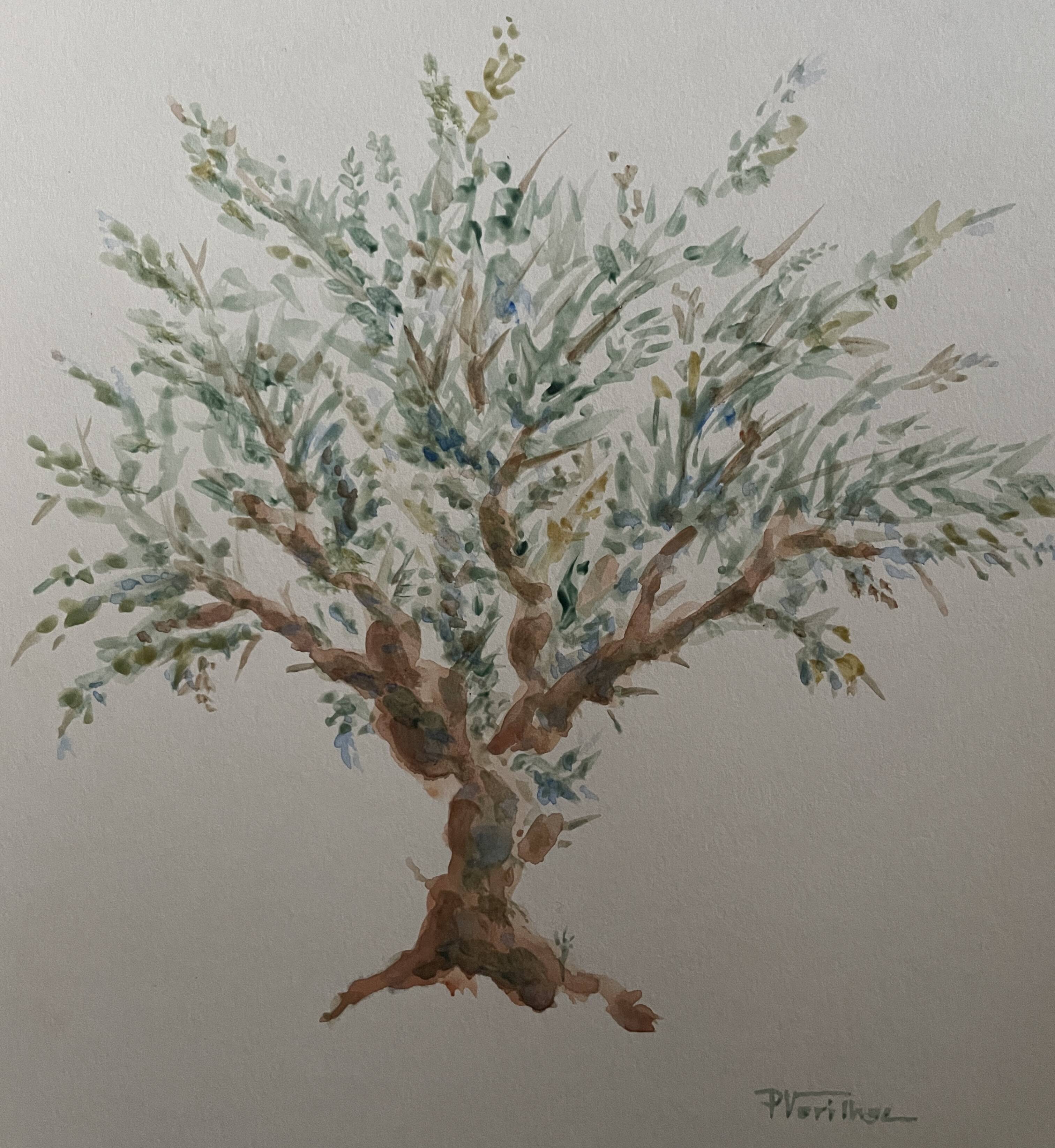 Painting signed watercolor Provençal landscape “the olive tree”