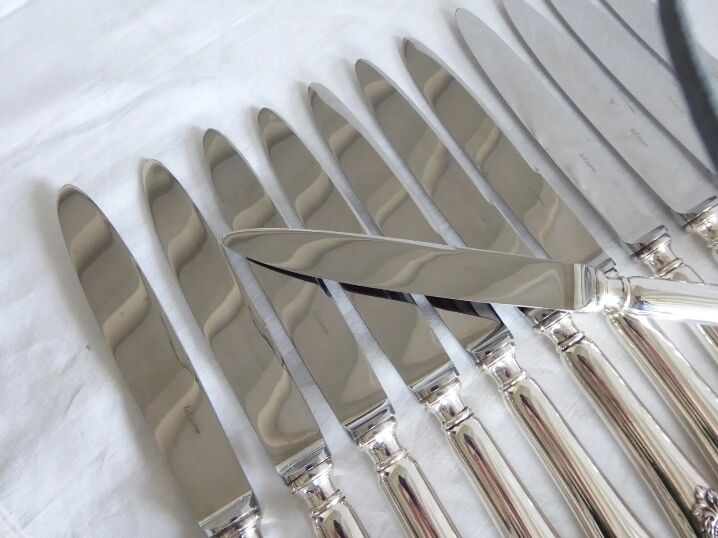 Set of 12 table knives in silver metal