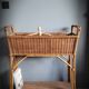 Planter door rattan plant