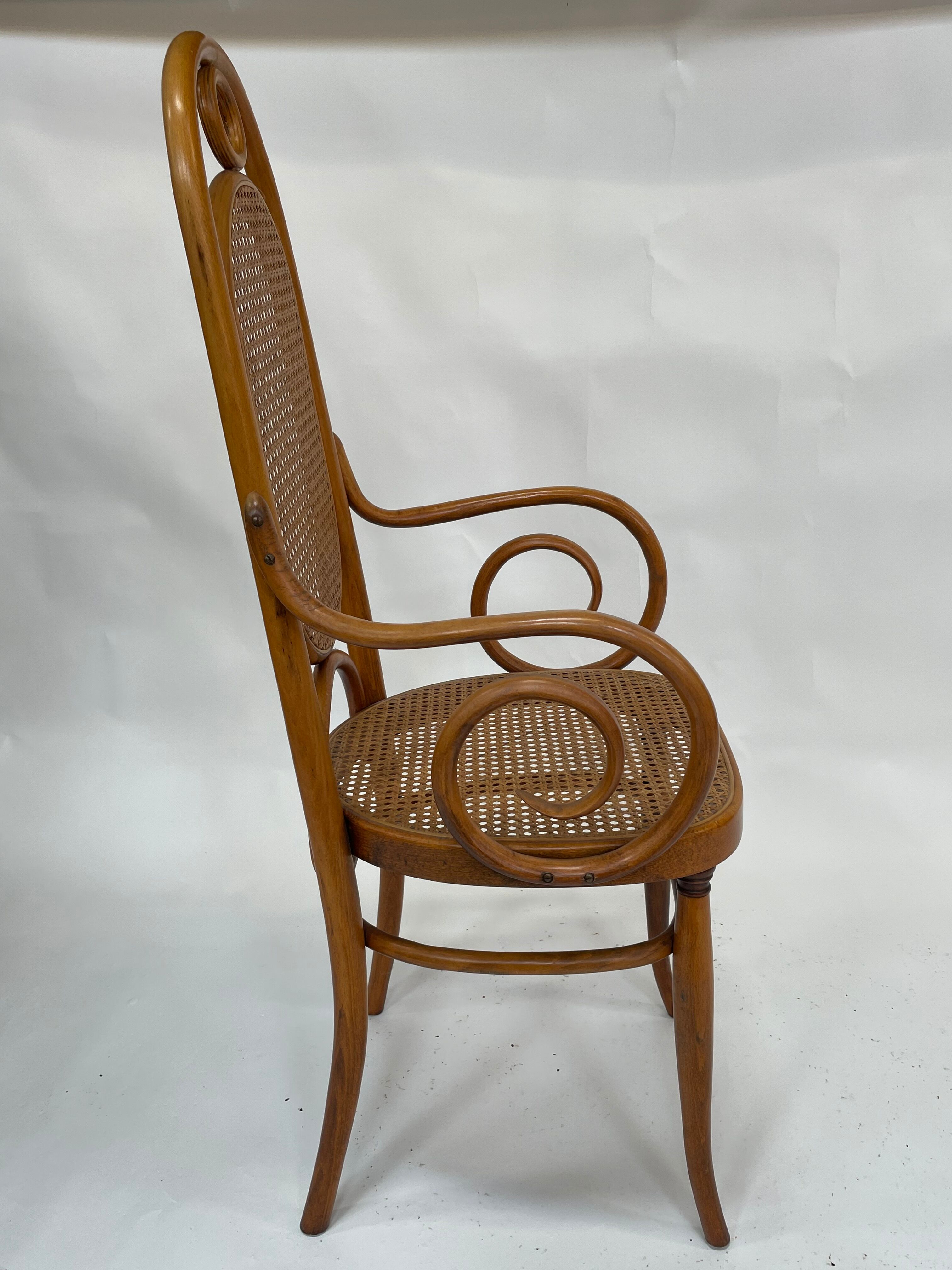 Sculptural bendwood side chair model