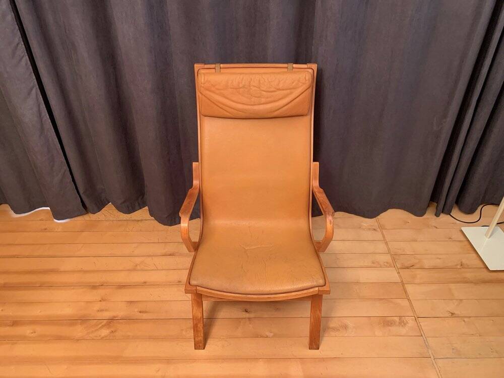 Albert lounge chair by Finn Østergaard for Skipper Møbler, Denmark, 1960s