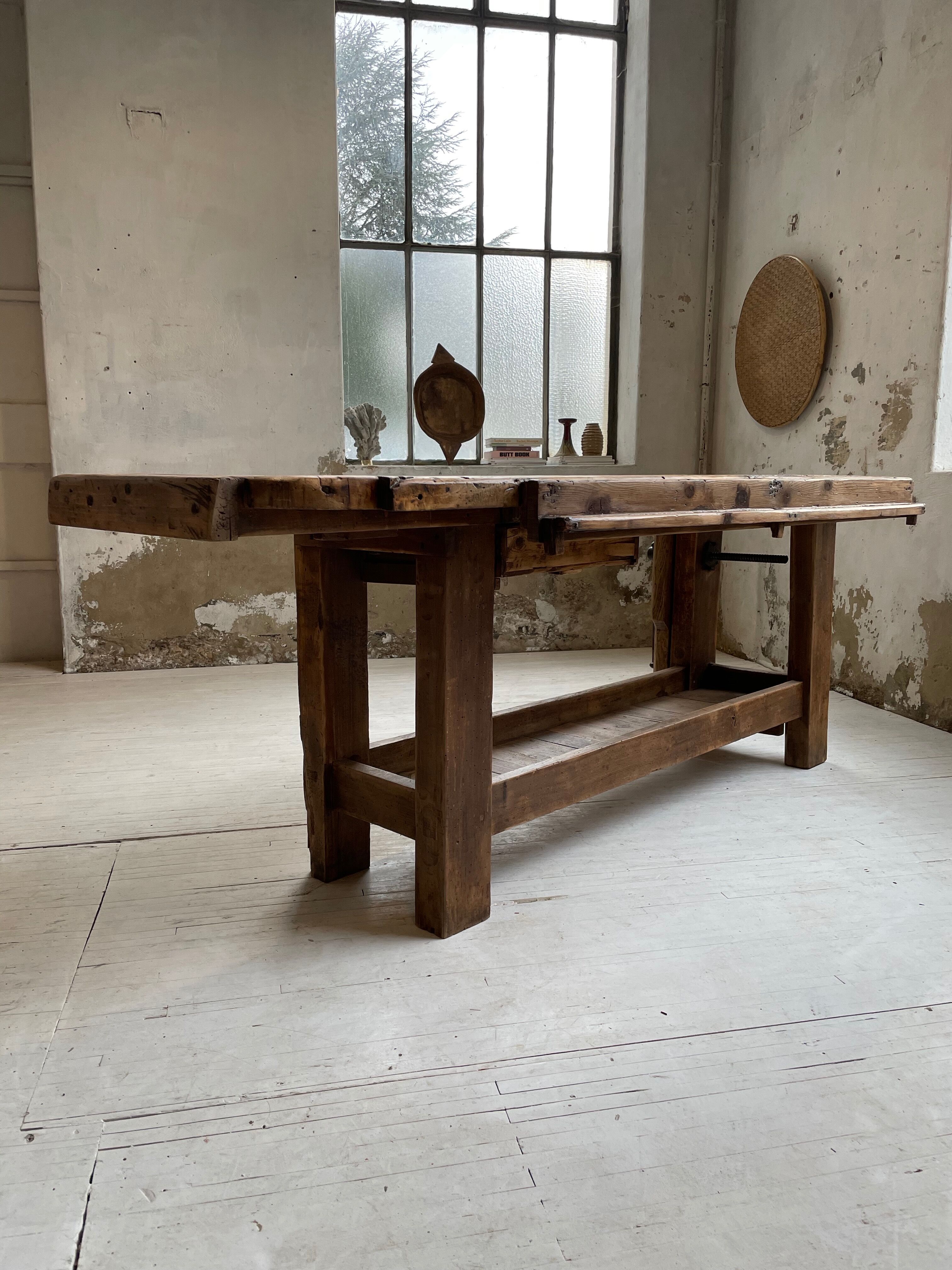 Established old oak XL