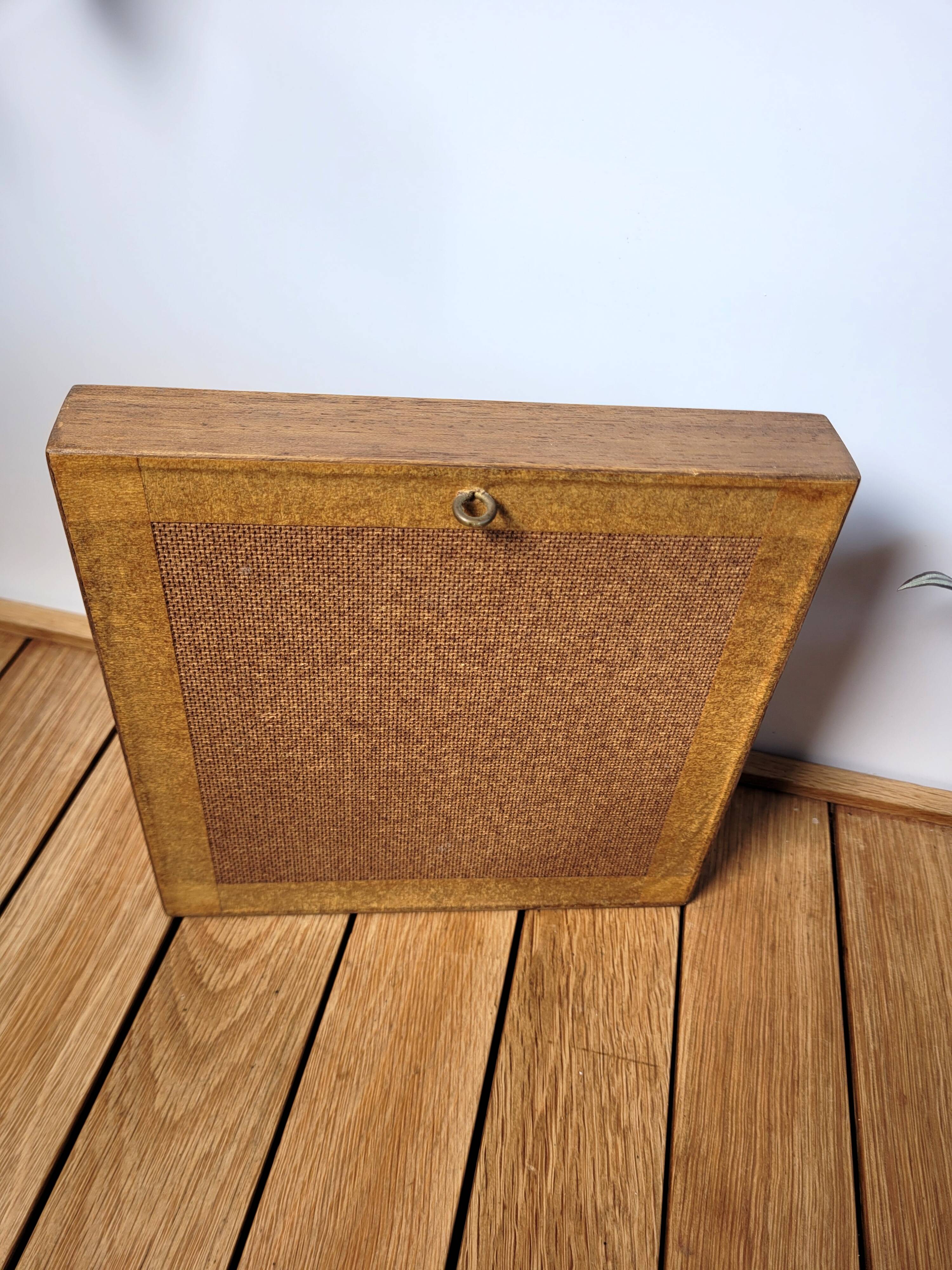 Amazon butterfly frame