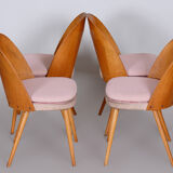 Chairs by Antonín Šuman 1950