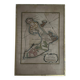 Color engraving under glass, plan of Isle Daix, 18th century
