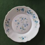 Service de table  vintage Arcopal Myosotis