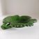 Vallauris vine leaf pocket emptier