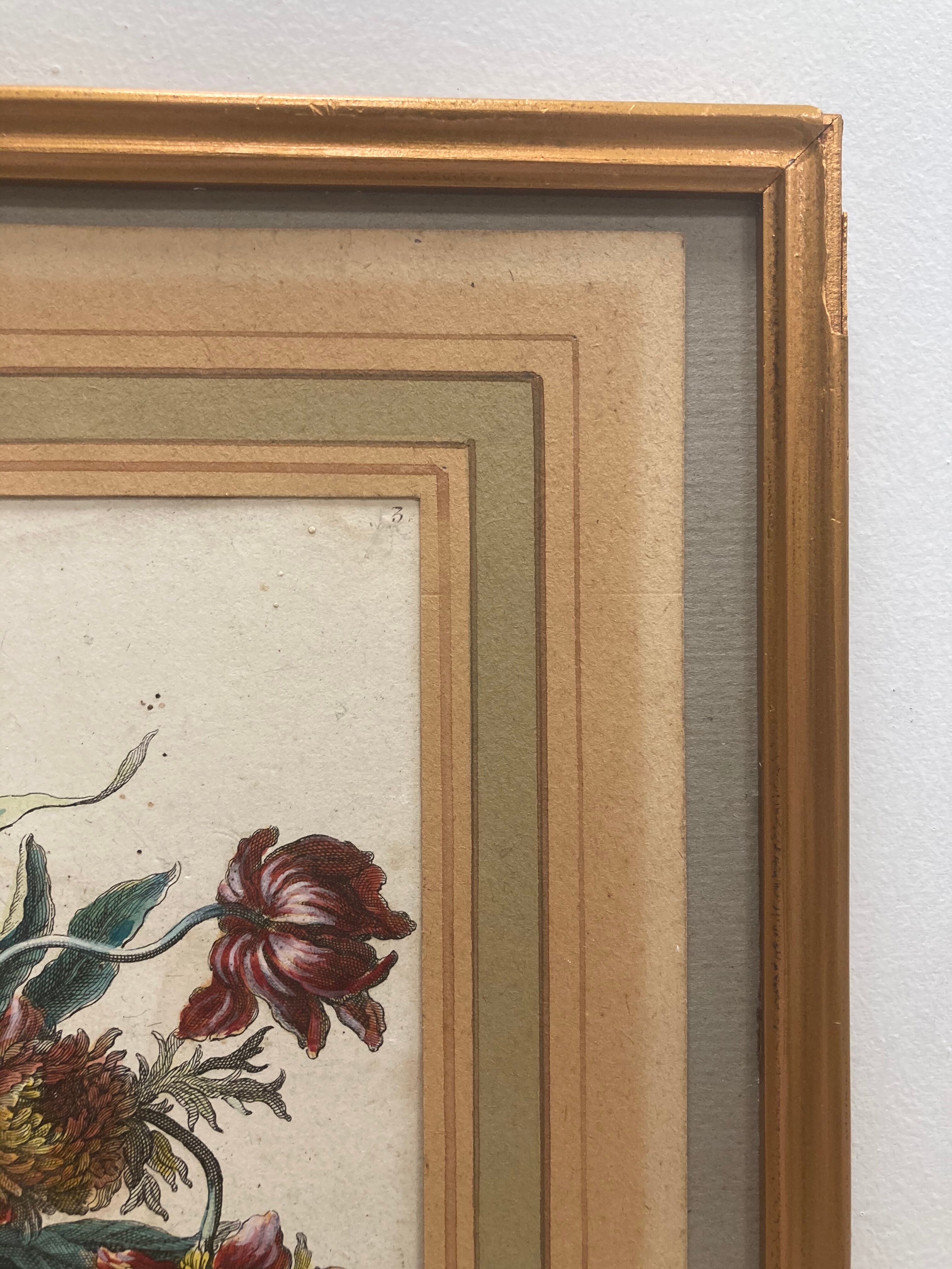Pair of framed botanical boards