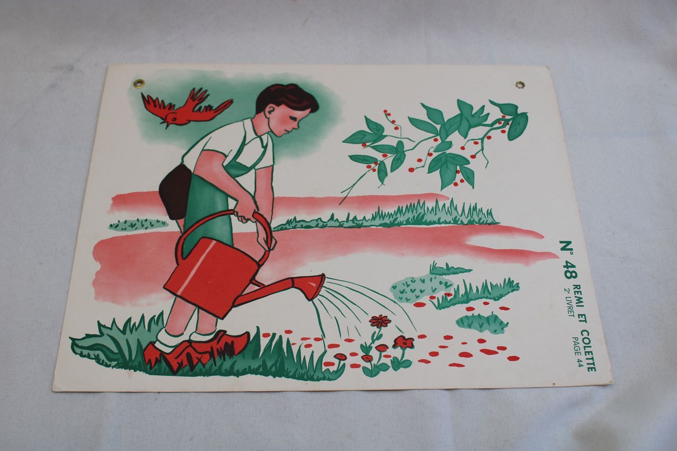 Poster Rémi and Colette