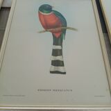Paintings