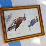 2 birds