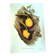 Vintage illustration - Toucan Ambigus by John Gould - bird plate