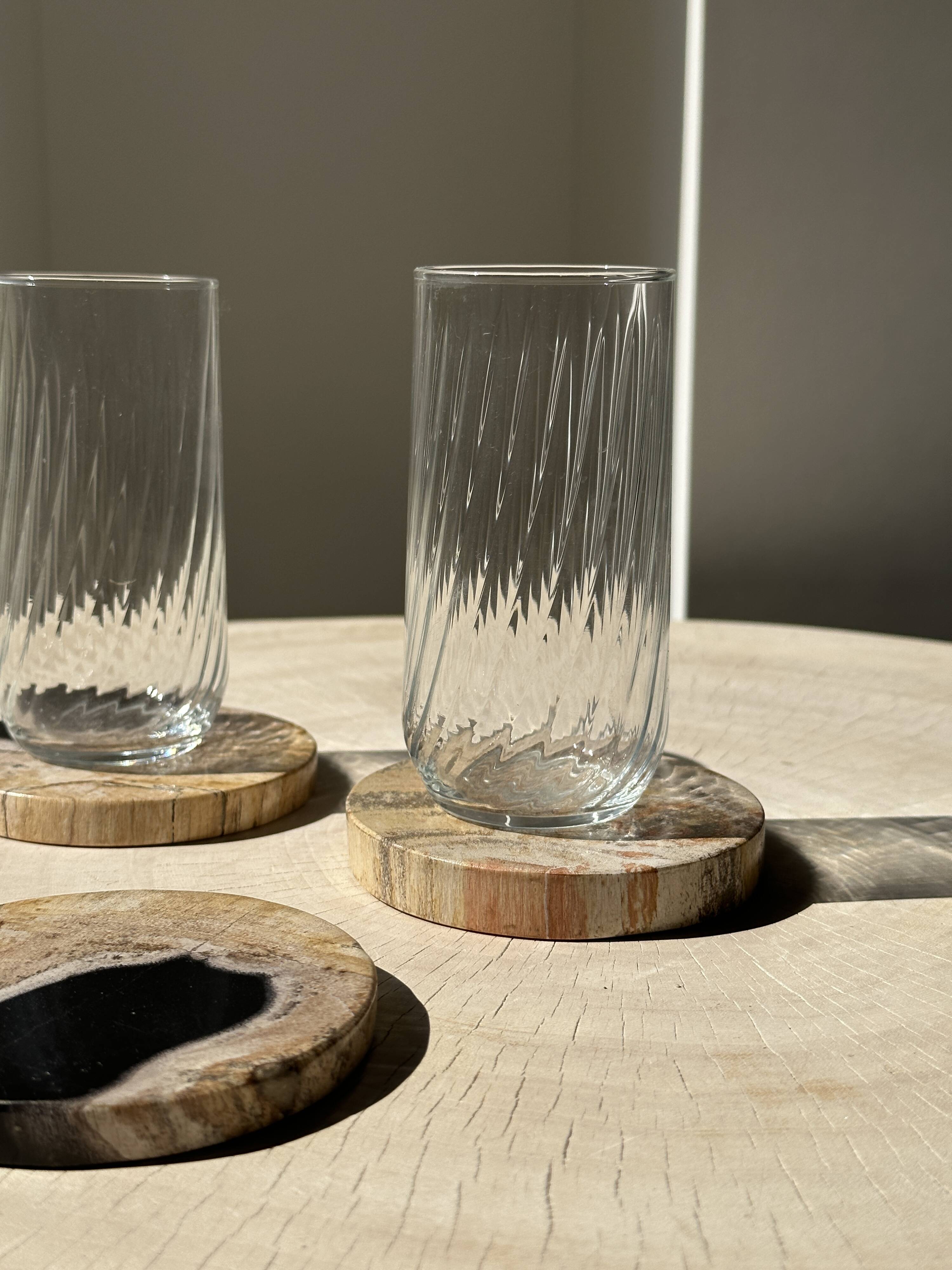 Set of 3 fossilized wood coasters (clear)