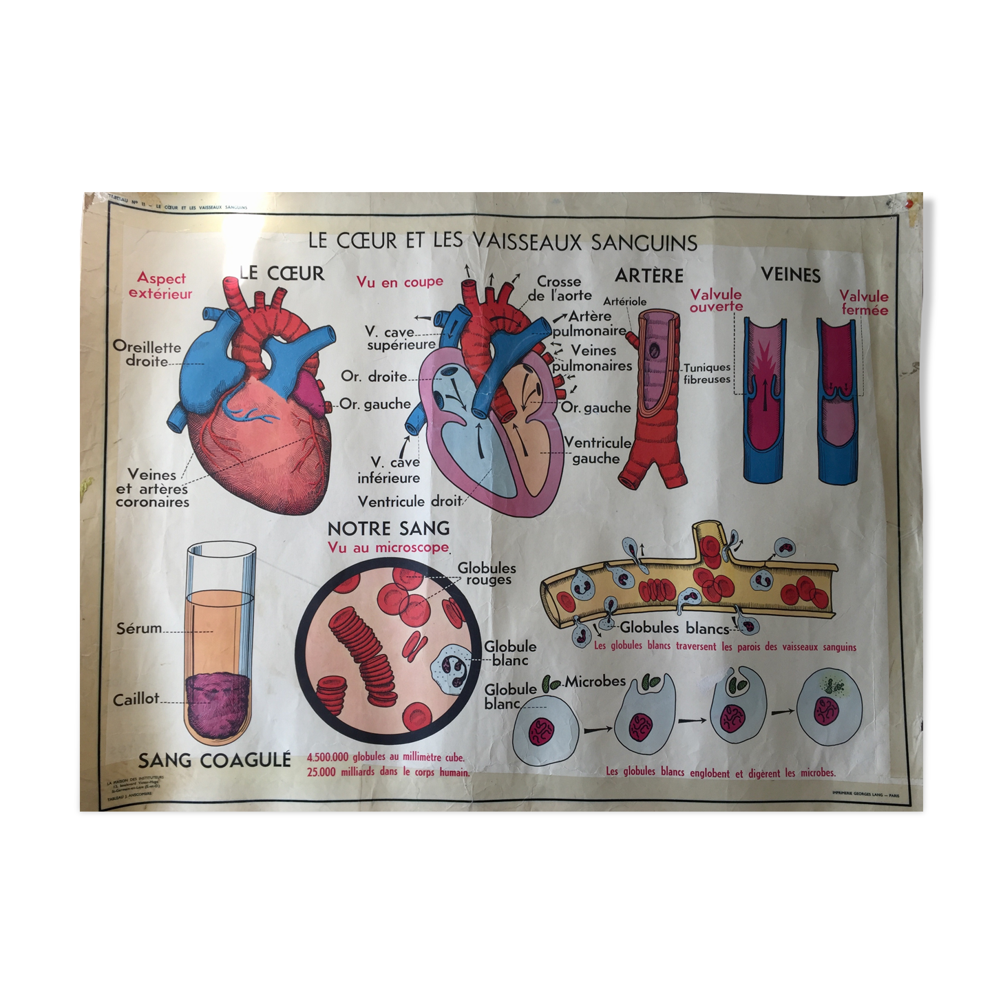 Poster pedagogical school 1960