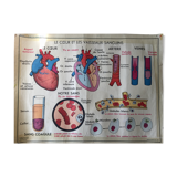 Poster pedagogical school 1960