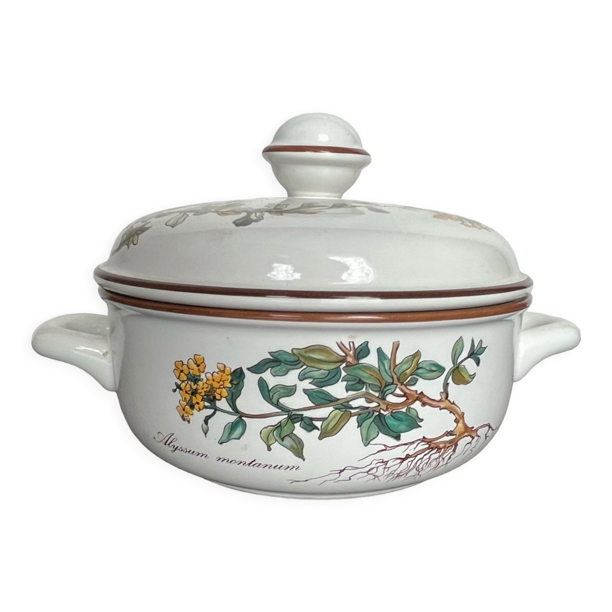 Villeroy and Boch Bitanica tureen