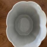 Tobacco leaf planter