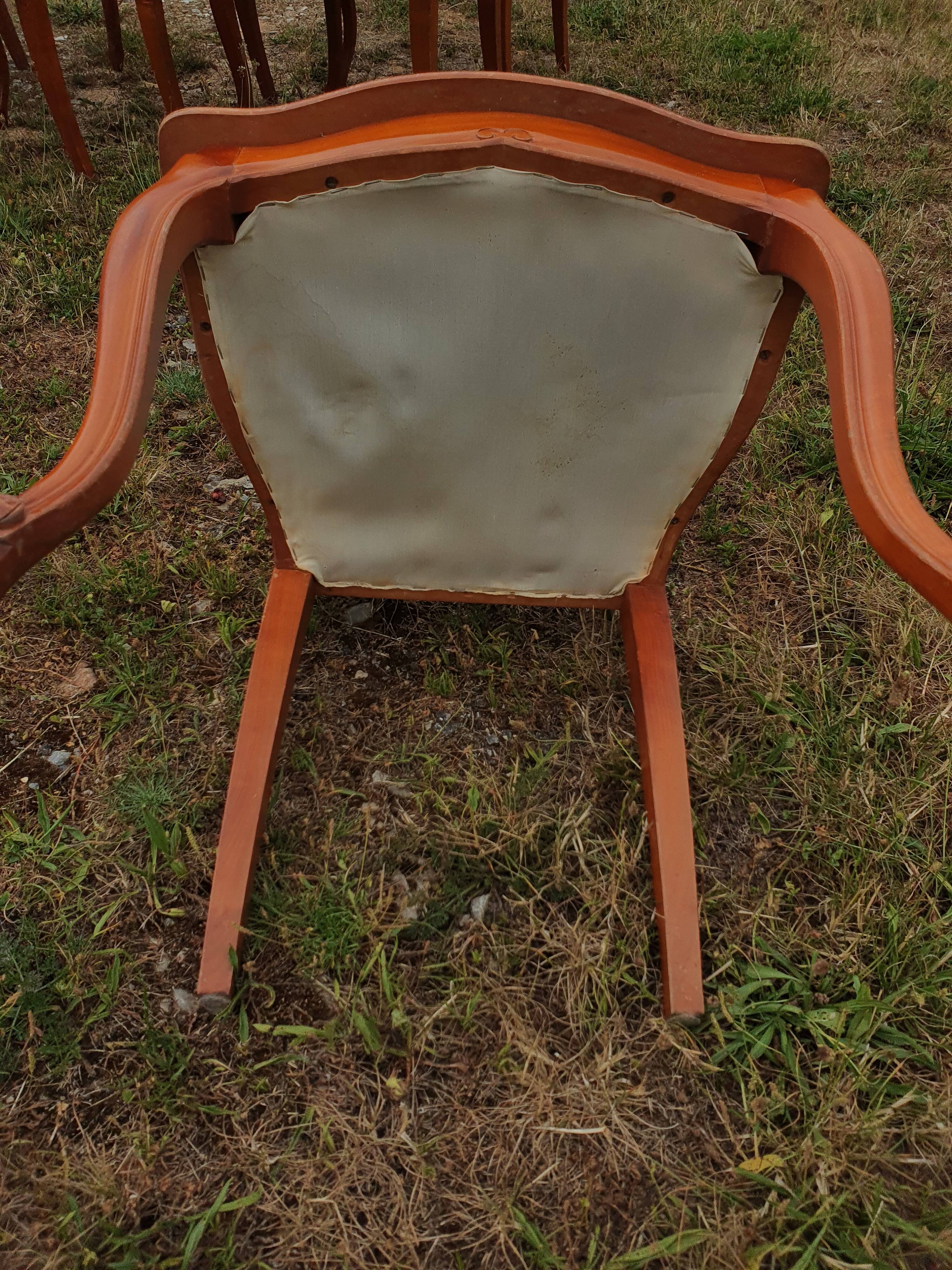 6 chaises de style Louis XV en velours vert olive