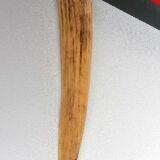 Knife handle horn Sipelia Sheffielf England