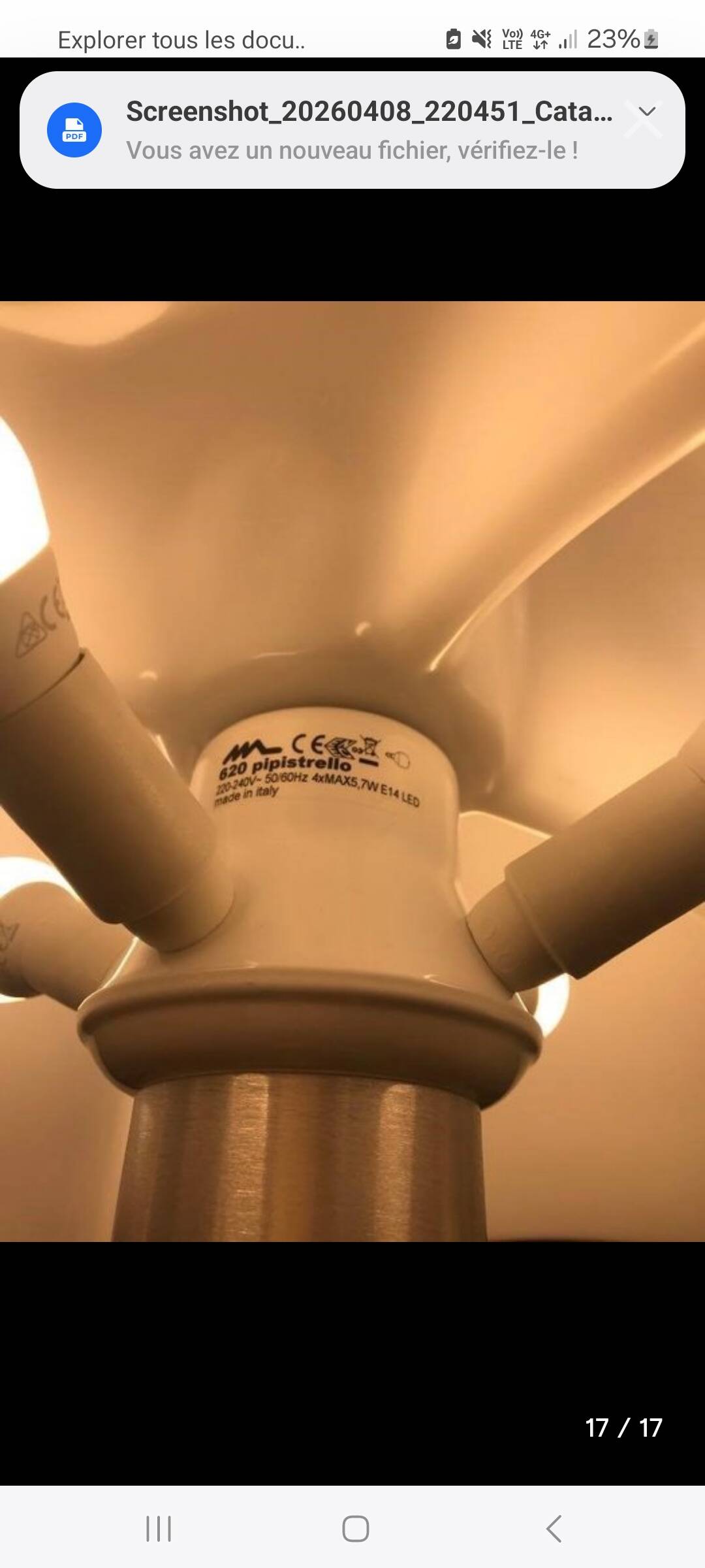 Pipistrello Grand Model Lamp