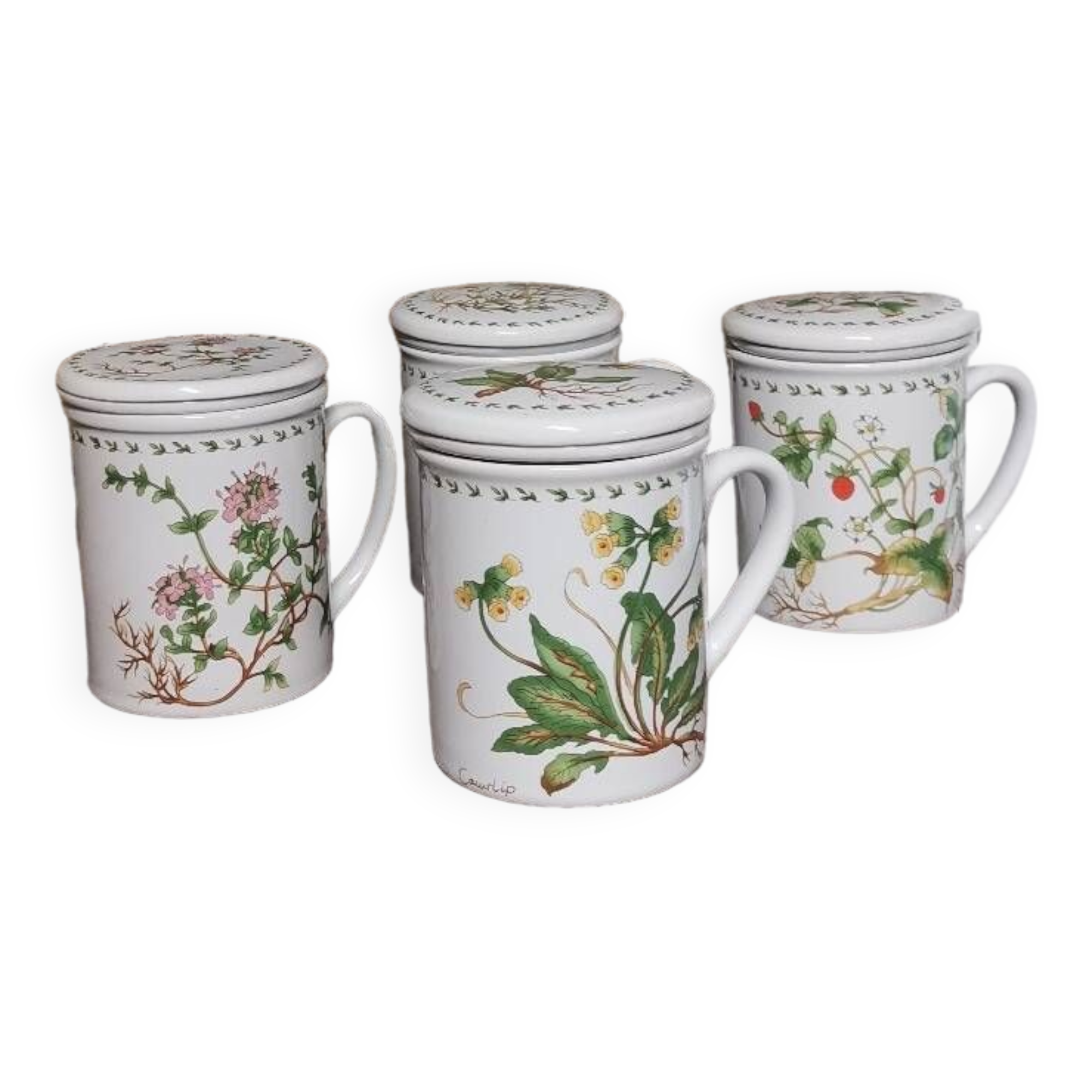 New ceramic “Medicinal Plants” tea pots