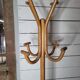 Vintage bentwood parrot
