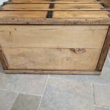 Old trunk