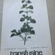 Set of two vintage medical herbarium posters advertising transfusion