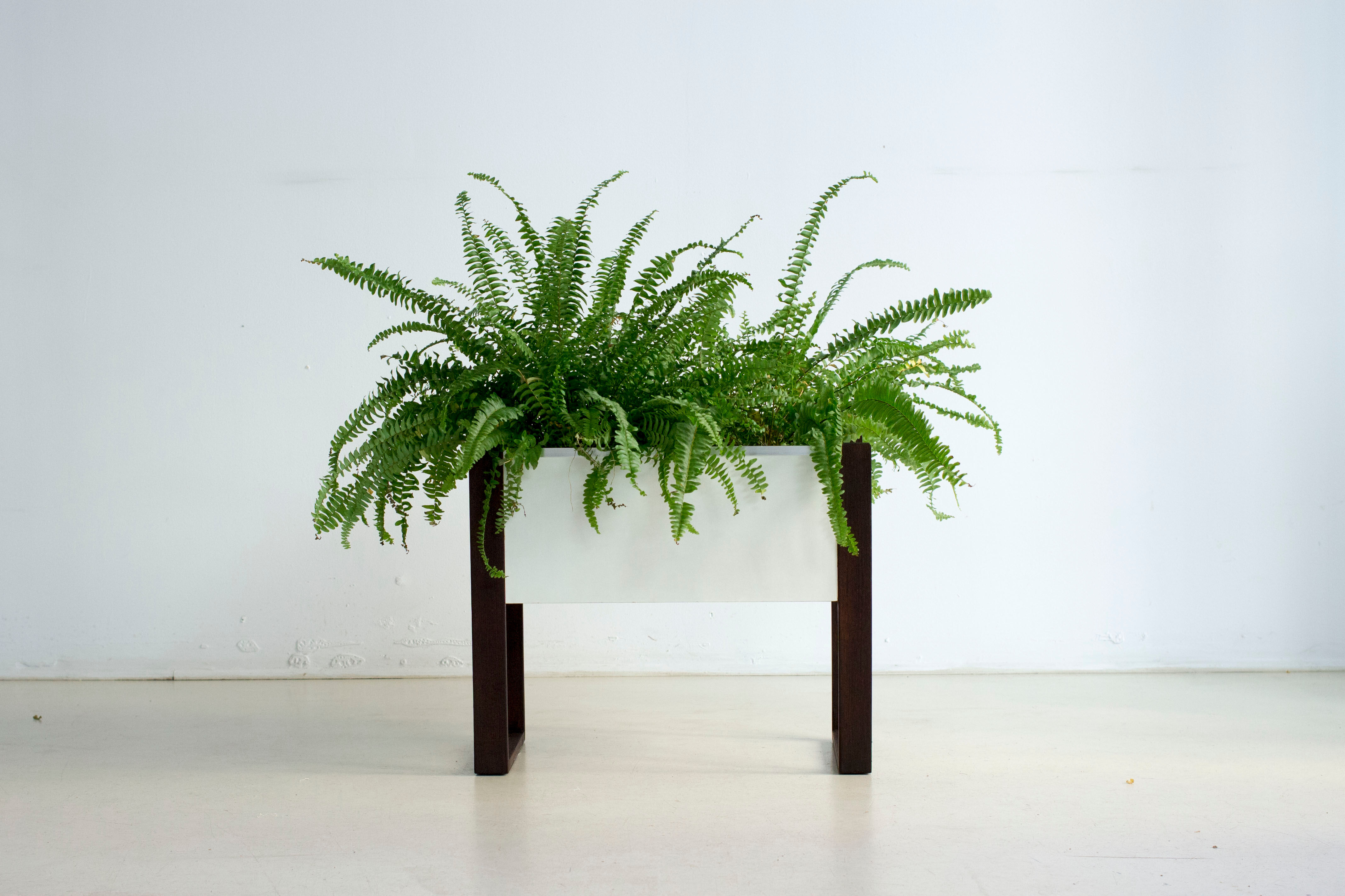 Scandinavian gardener 60s