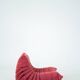 Togo set of chair and pouf in raspberry velvet