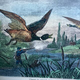 Duck hunting setting