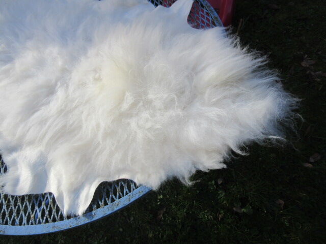 Peau de mouton