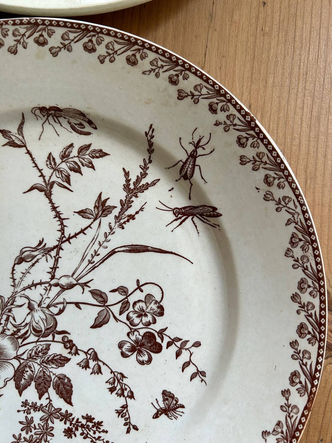 Mismatched set of 6 old flat plates